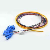 Multi-fiber Patchcord