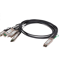 WDC-QSFP/4XFP-P2M